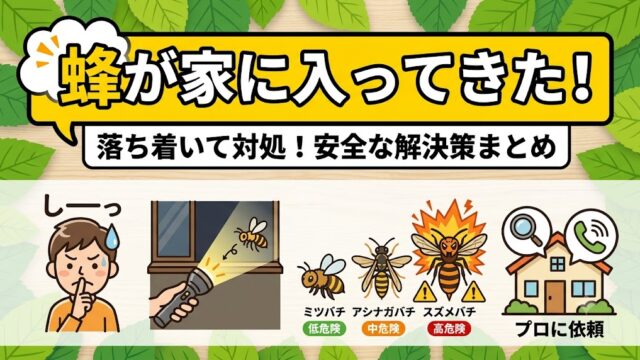 蜂が家に入ってきた時の対処法をまとめたブログ記事のサムネイル画像
