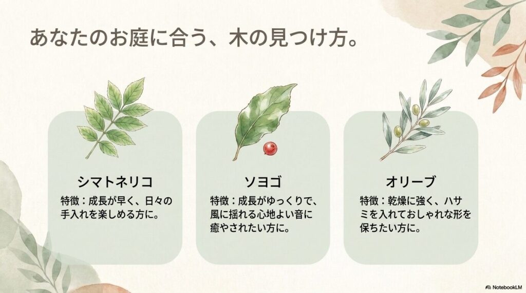 あなたのお庭に合う木の見つけ方。成長が早いシマトネリコ、成長がゆっくりなソヨゴ、形を保ちやすいオリーブの特徴比較。