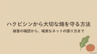 ハクビシンから大切な畑を守る方法のタイトル画像