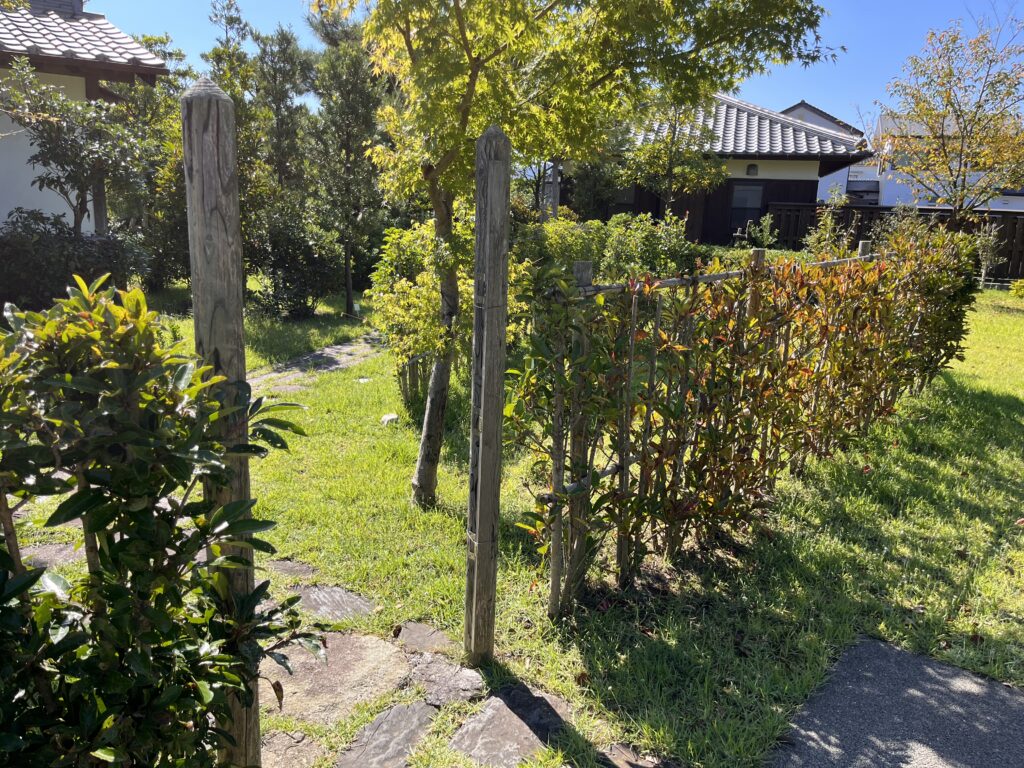 剪定された庭の木々