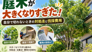 庭木が大きくなりすぎた