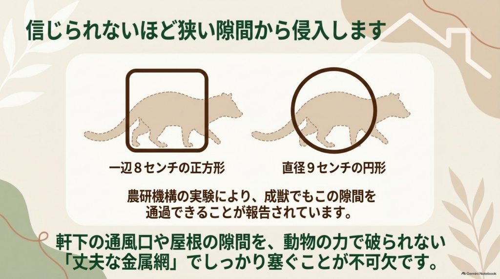 専門業者へ相談すべき目安として、侵入経路が不明、高所作業が危険、屋根裏に住み着いている場合をまとめたスライド